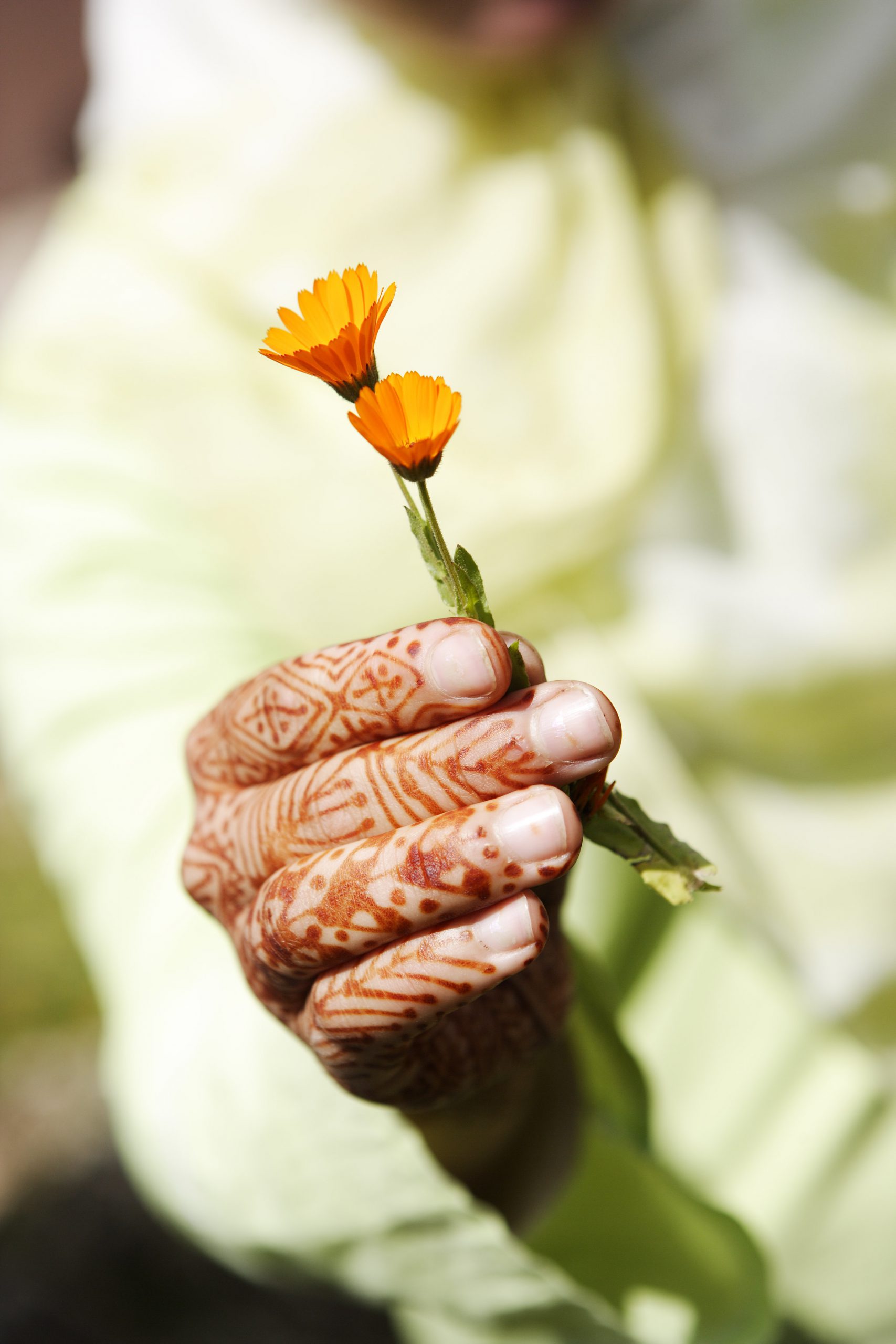 image mains tatouées tenant une fleure